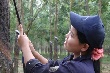 Tăng lương tối thiểu vùng: Doanh nghiệp cao su nặng gánh